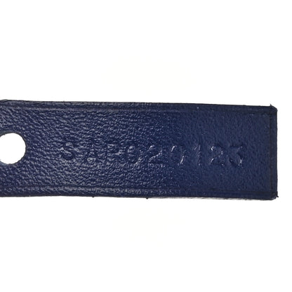 Goyard Goyardine Saint Louis PM Navy 8 of 12