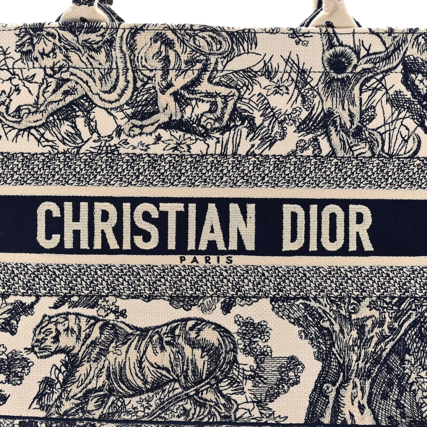 Canvas Embroidered Medium Dioriviera Toile De Jouy Book Tote Blue