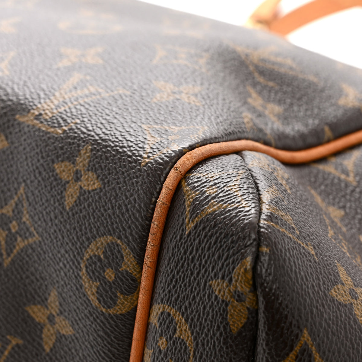 Monogram Totally MM