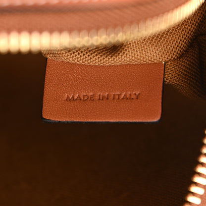 Celine Triomphe Canvas Small Camera Bag Tan 6 of 10