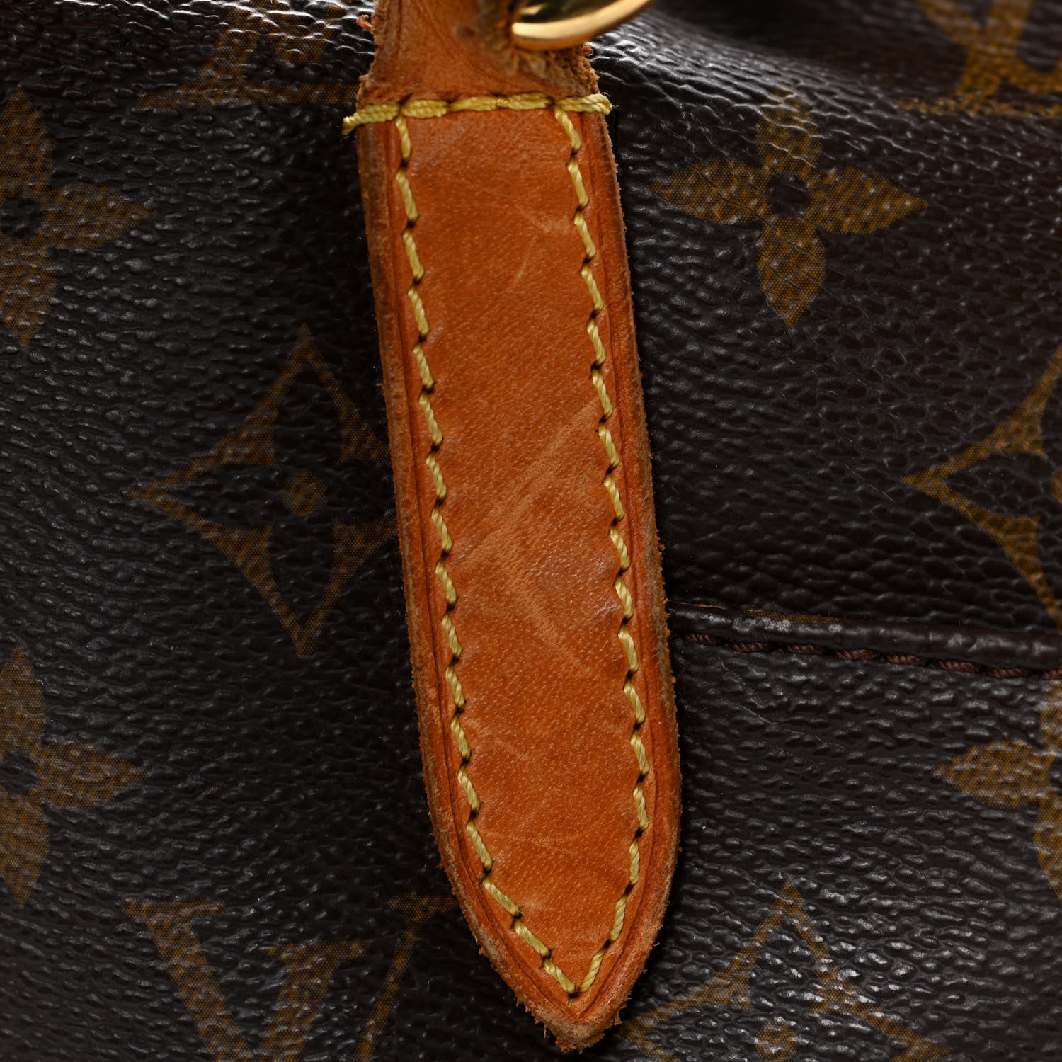Louis Vuitton Monogram Totally MM 18 of 25