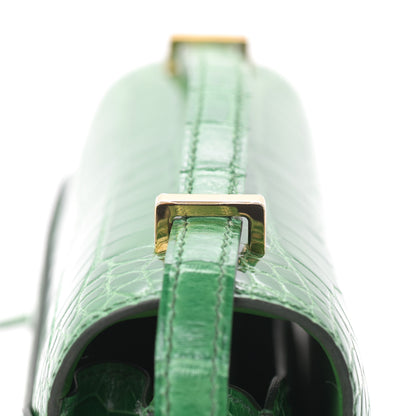 Hermes Shiny Alligator Constance 18 Cactus 17 of 21
