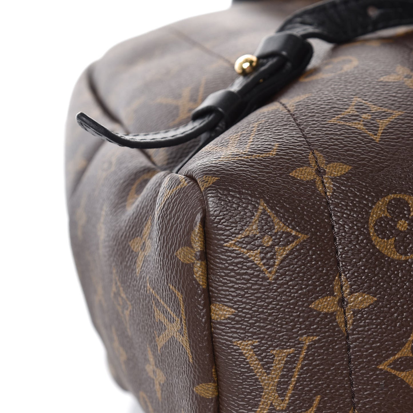 Monogram Palm Springs Backpack MM