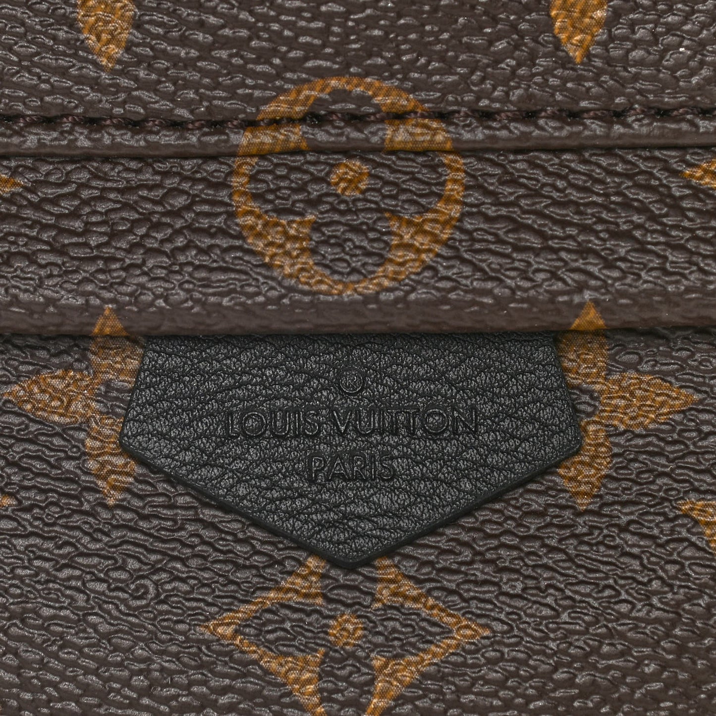 Monogram Palm Springs Backpack Mini