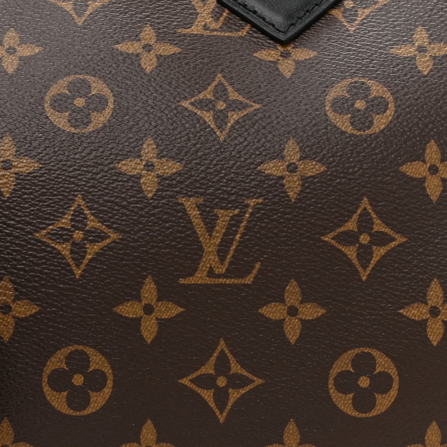 Monogram Speedy Soft 30 Dark