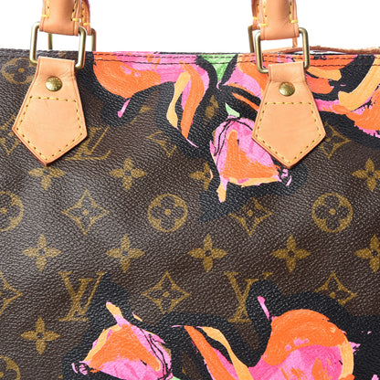 Louis Vuitton Monogram Roses Speedy 30 11 of 11
