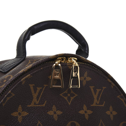 Louis Vuitton Monogram Palm Springs Backpack PM 11 of 12