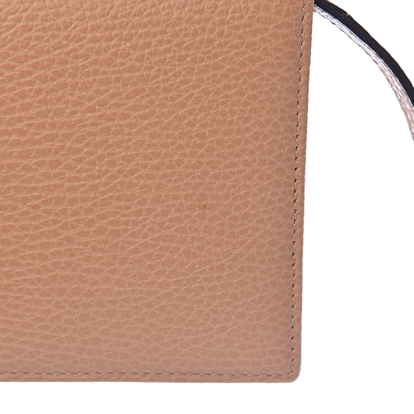 Dollar Calfskin Mini Swing Wallet Bag Camelia Mineral Blue