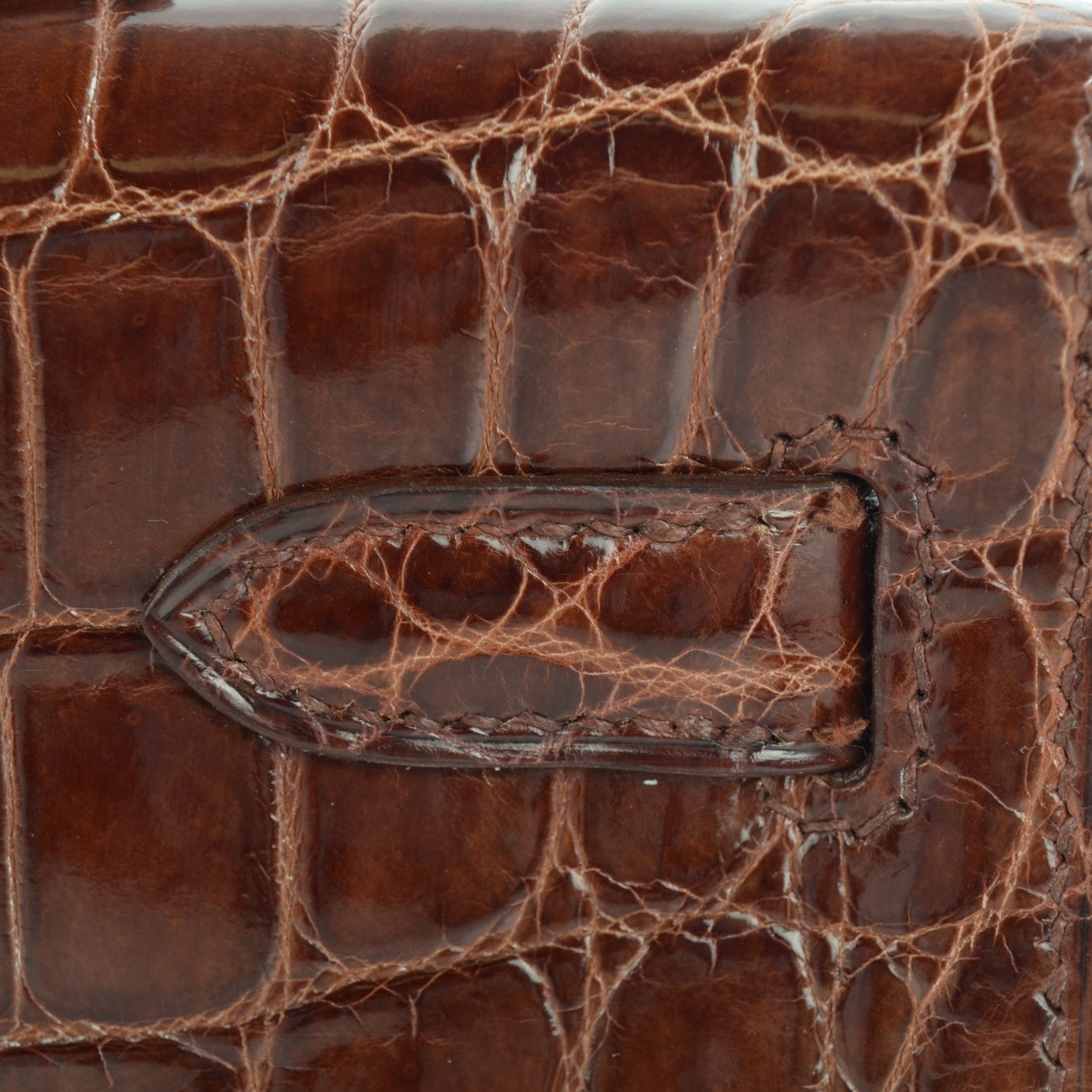 Hermes Shiny Niloticus Crocodile Kelly Cut Pochette Miel 8 of 13