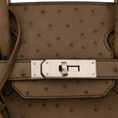 Hermes Ostrich Birkin 30 Mousse 11 of 15
