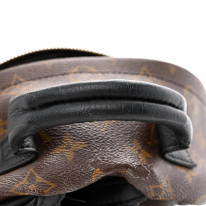 Louis Vuitton Monogram Palm Springs Backpack PM 11 of 20