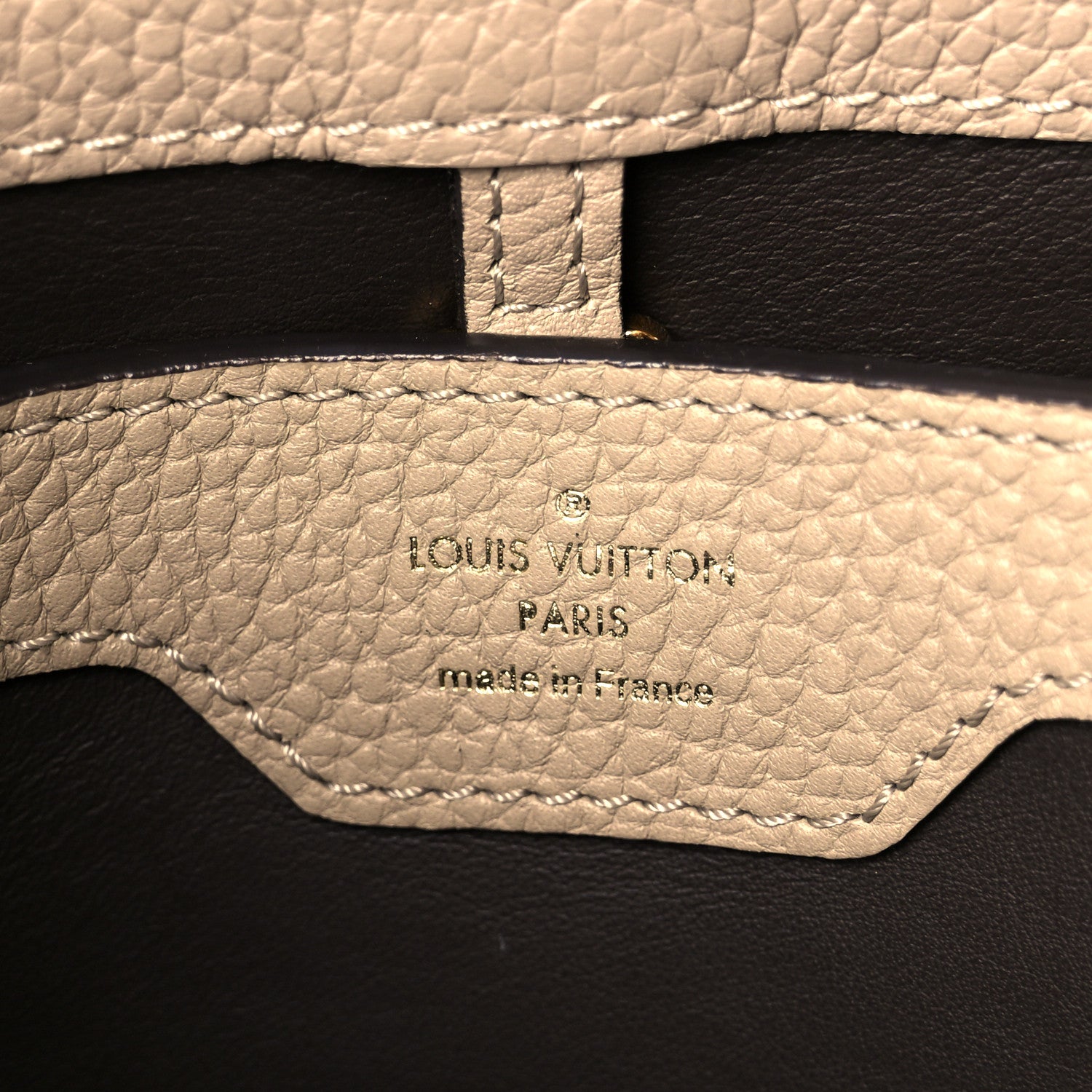 Louis Vuitton Taurillon Snakeskin Capucines PM Galet 6 of 9