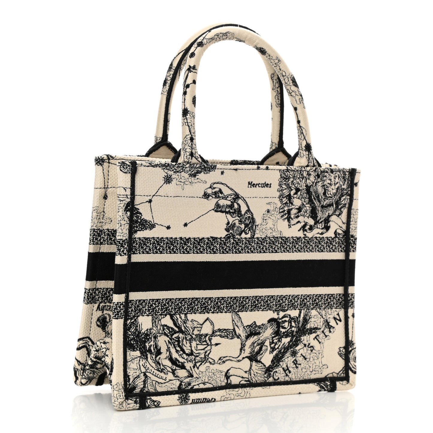 Canvas Embroidered Small Zodiac Toile De Jouy Book Tote Latte