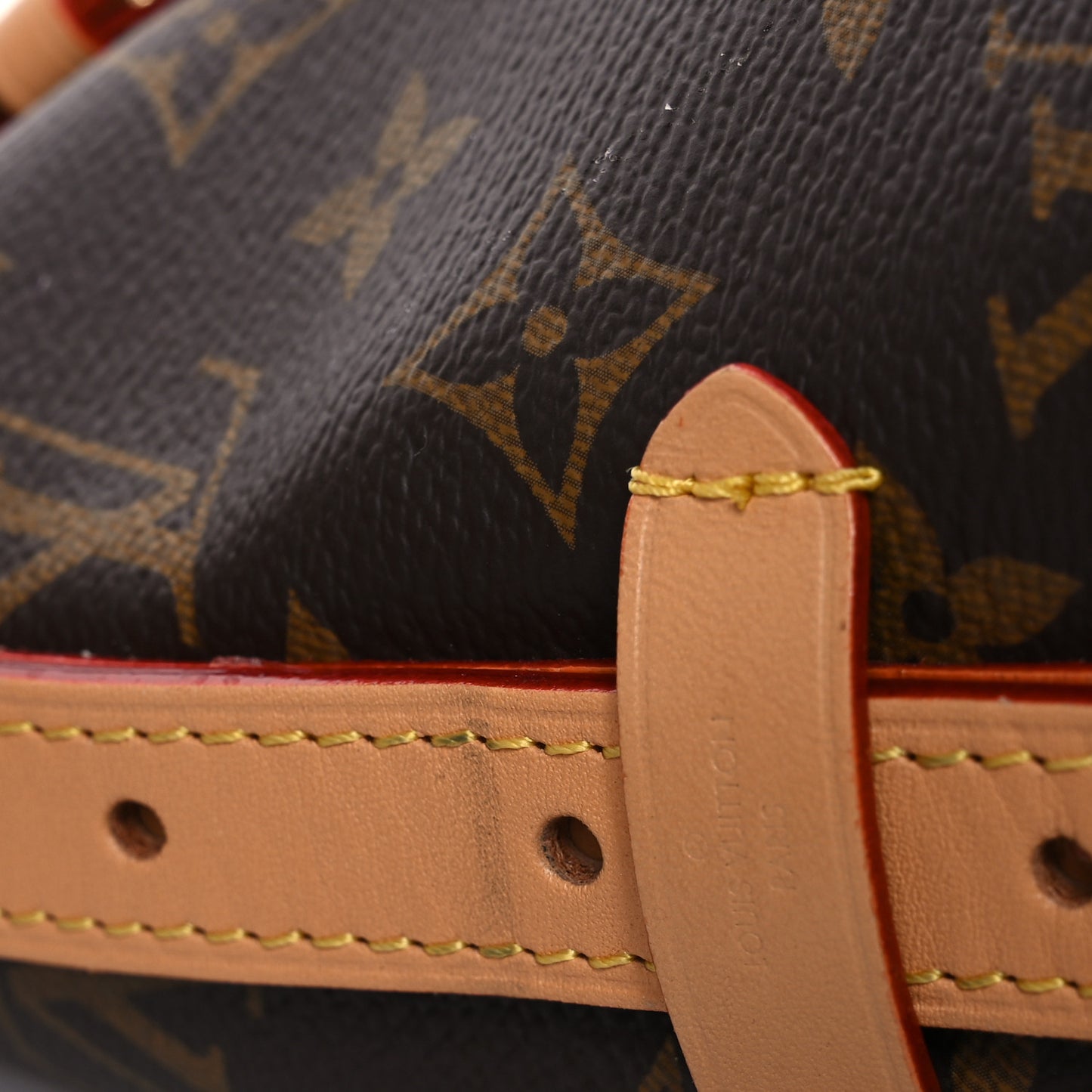 Monogram CarryAll PM