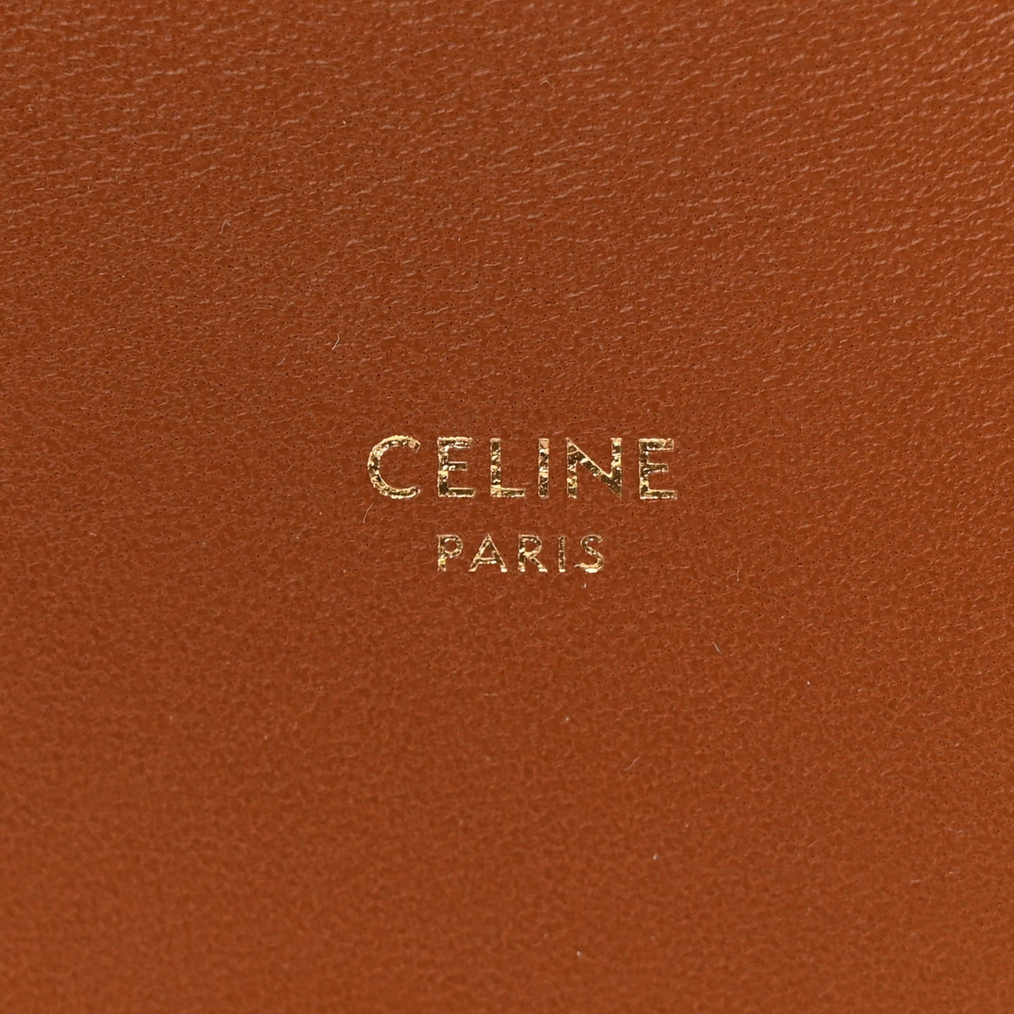 Triomphe Canvas Lambskin Phone Pouch With Flap White Tan