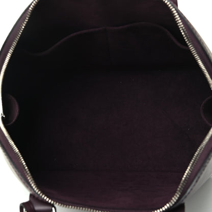 Louis Vuitton Epi Alma PM Quetsche 4 of 4