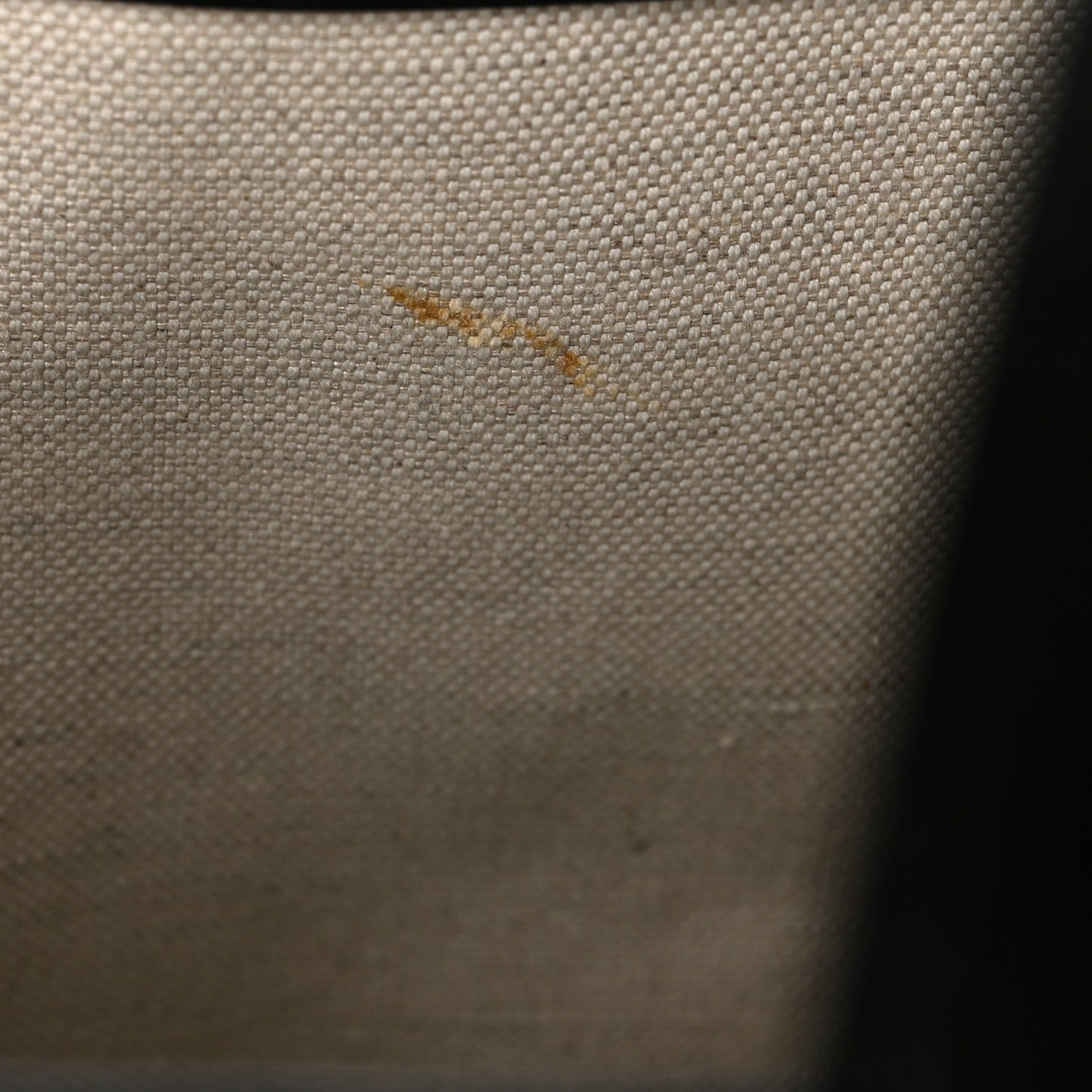 Smooth Calfskin Canvas Horseferry Print Medium Kane Tote Black