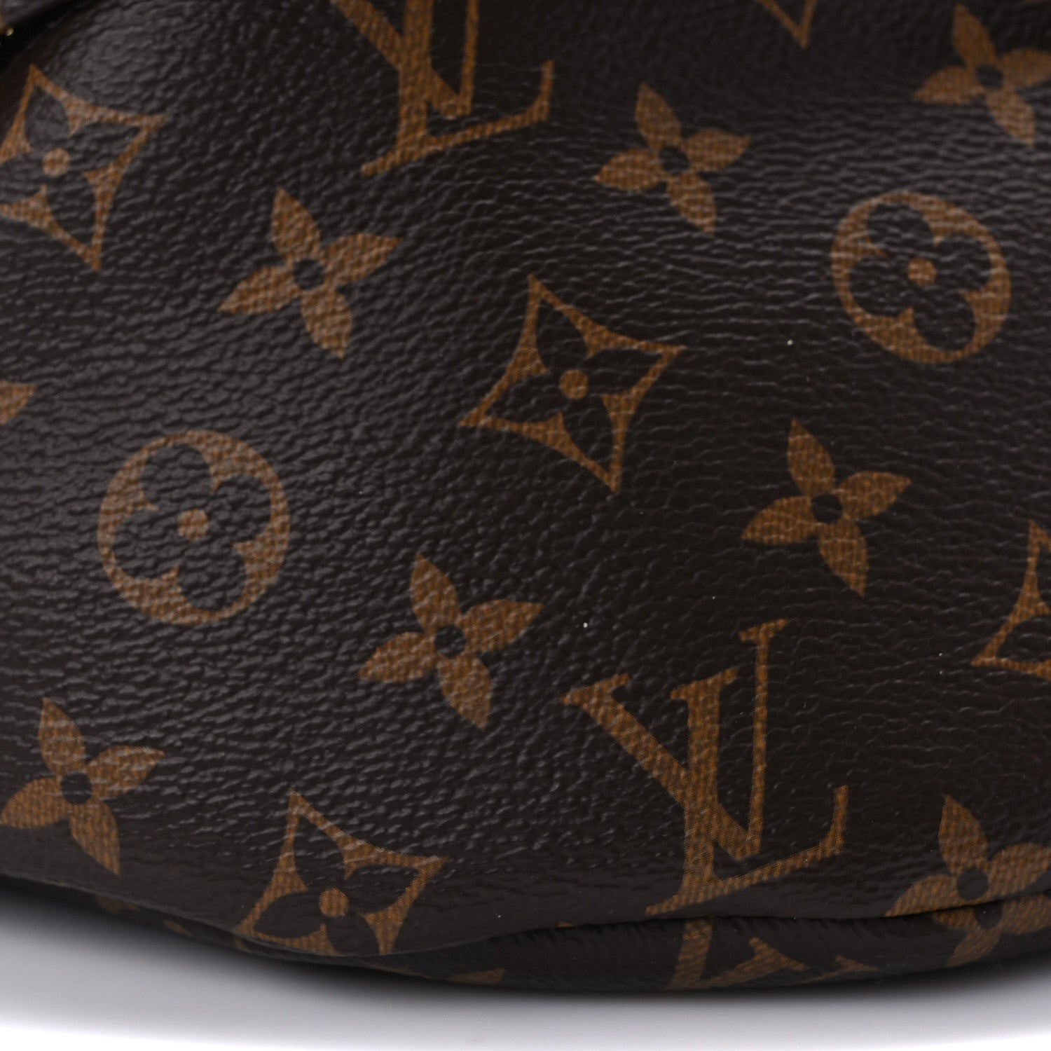 Louis Vuitton Monogram Bumbag 6 of 7