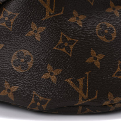 Louis Vuitton Monogram Bumbag 6 of 7