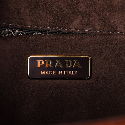 Prada Velluto Lions Head Cahier Shoulder Bag Ambra 8 of 14