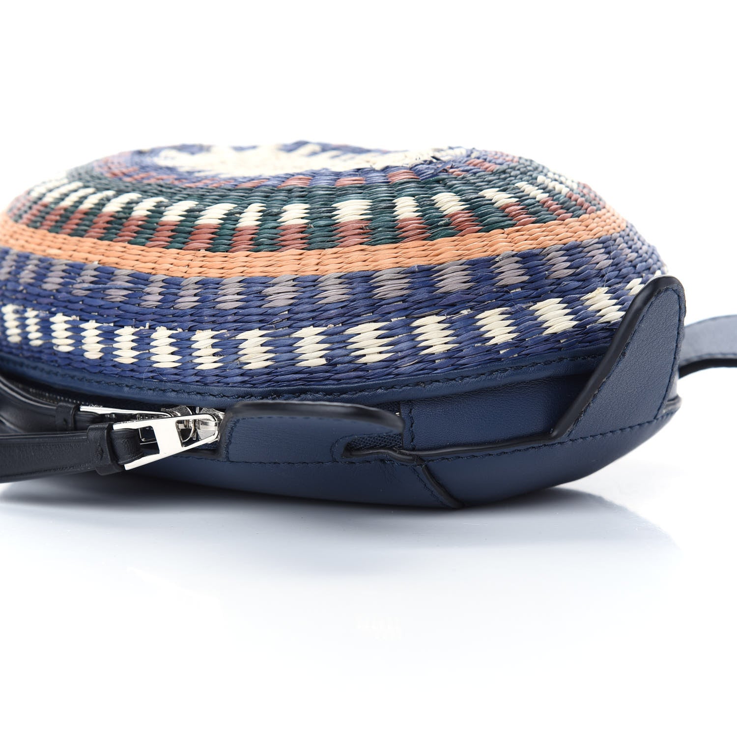 Loewe Raffia Calfskin Paula's Ibiza Turtle Pouch Ocean Multicolor 8 of 10