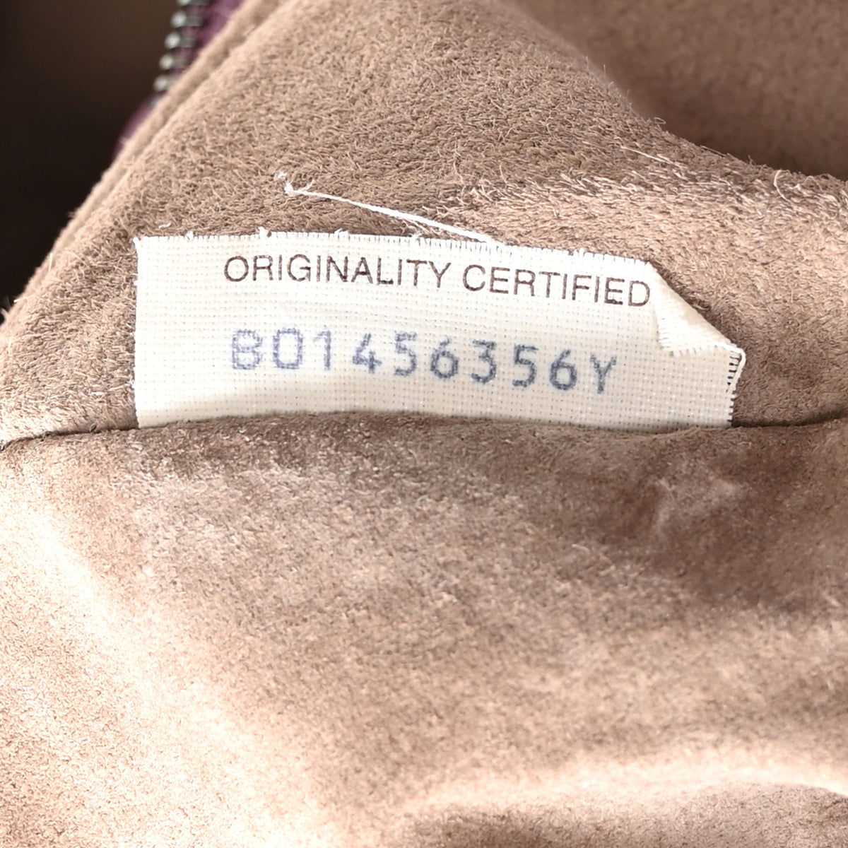 Bottega Veneta Nappa Intrecciato Maxi Veneta Hobo Corot 7 of 10