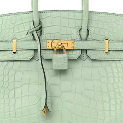 Hermes Matte Alligator Birkin 25 Vert D'eau 8 of 12