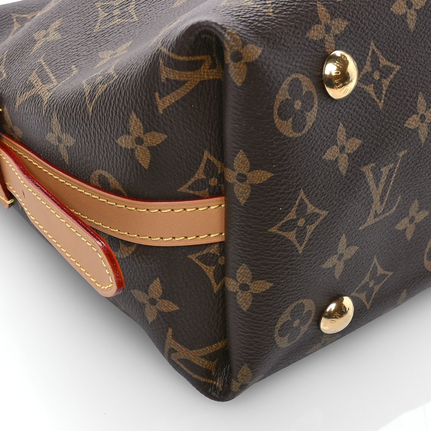Monogram CarryAll PM