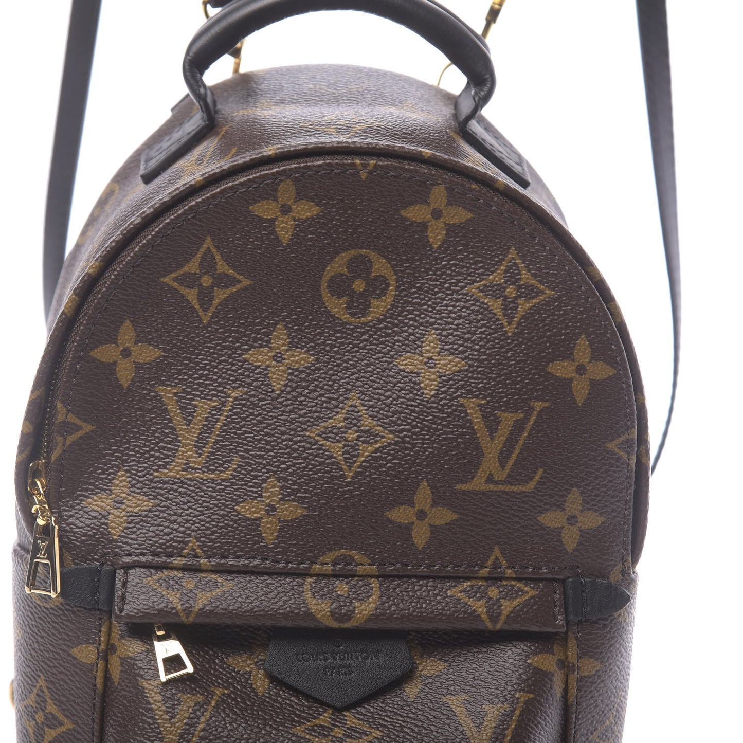 Monogram Palm Springs Backpack Mini