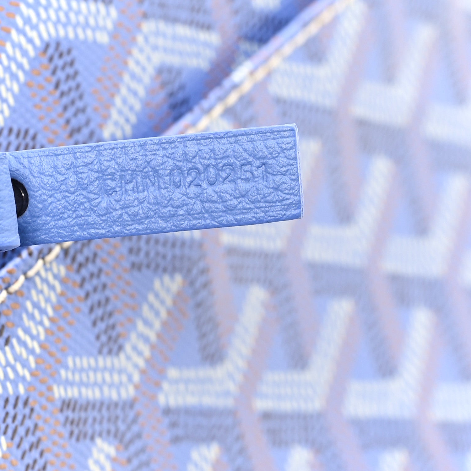 Goyard Goyardine Le Jardin Saint Louis PM Iris 8 of 11