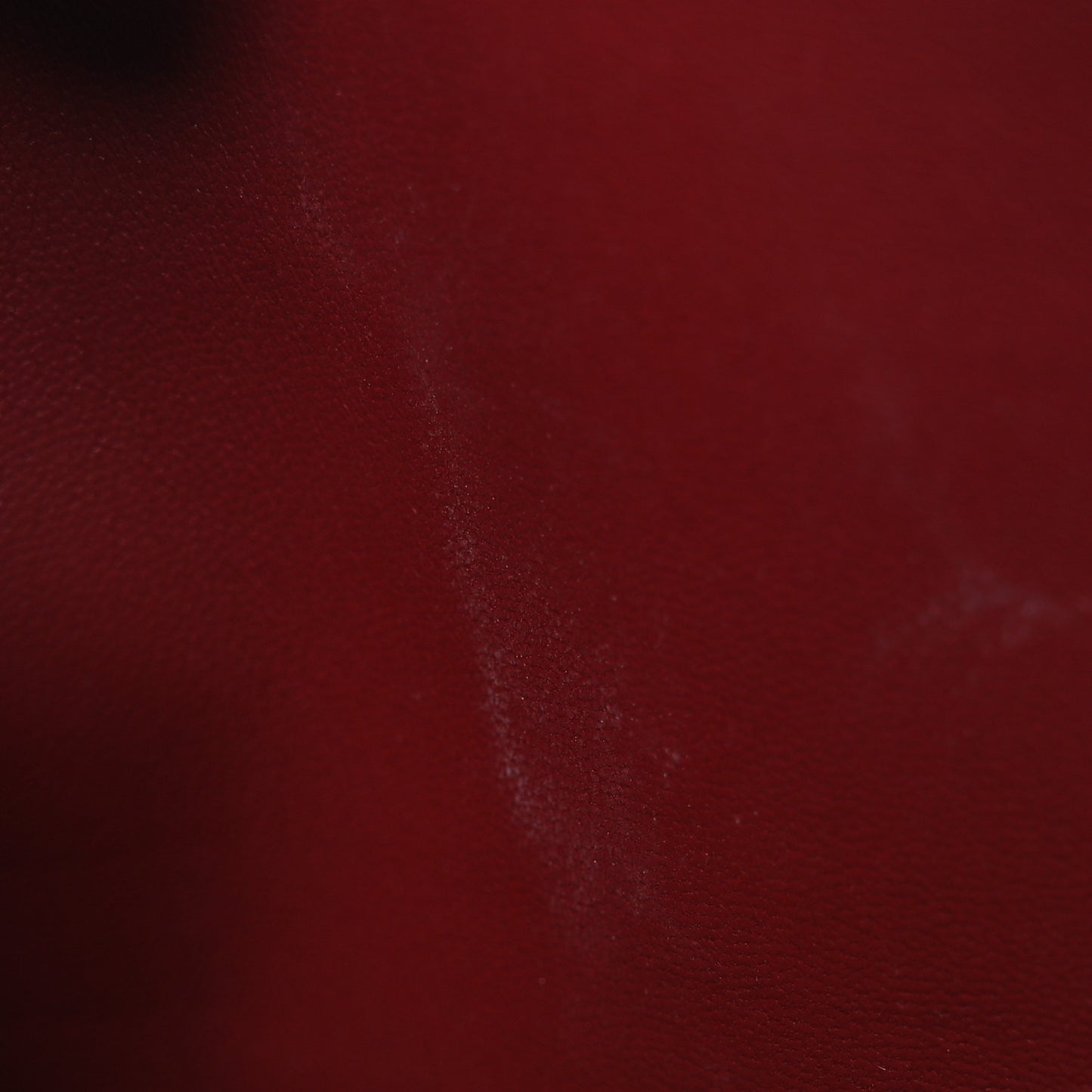 Shiny Alligator Constance Long Wallet Rouge Vif