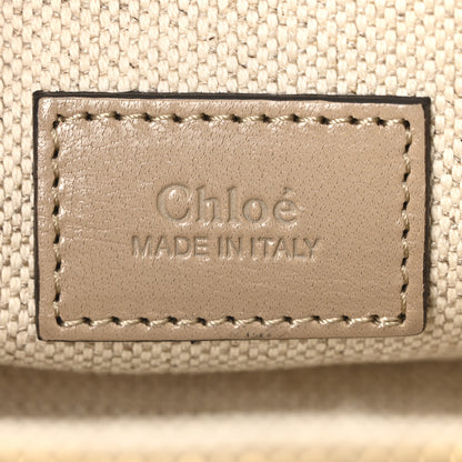 Chloe Shiny Buffalo Small Double Carry Camera Bag Mushroom 6 of 9