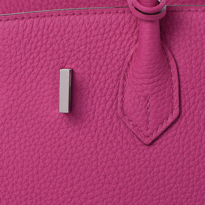 Hermes Togo Birkin 25 Magnolia 22 of 33