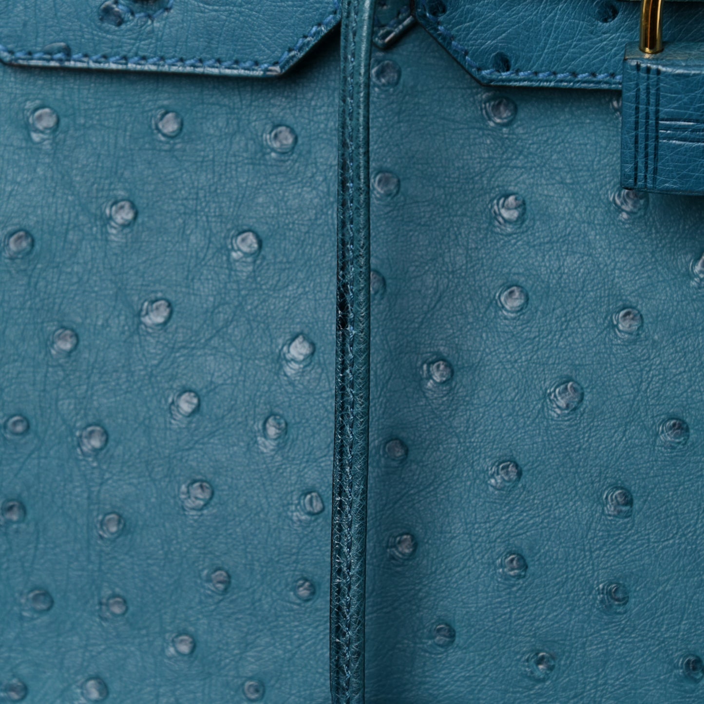 Ostrich Birkin 30 Cobalt