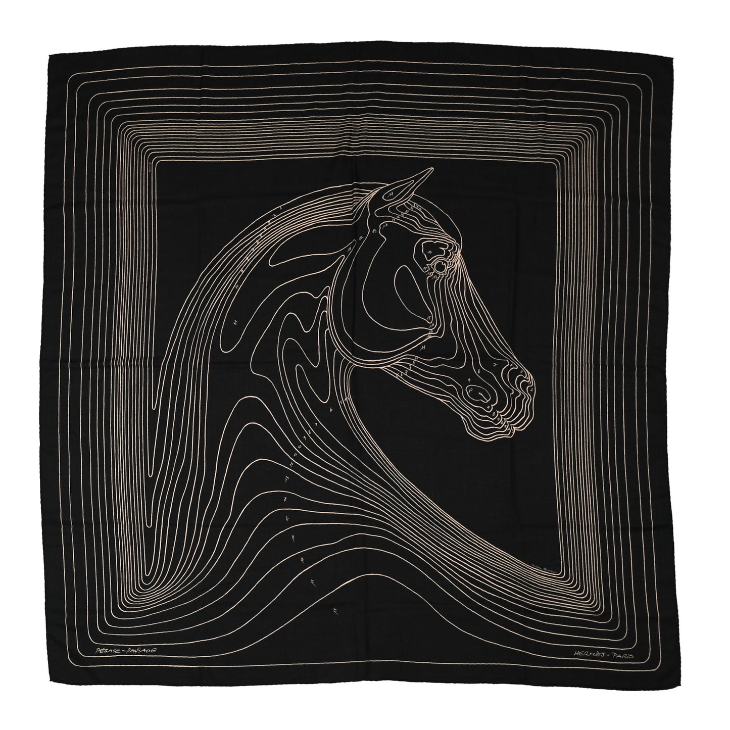 Cashmere Silk Pegase Paysage Shawl 140 Black Beige