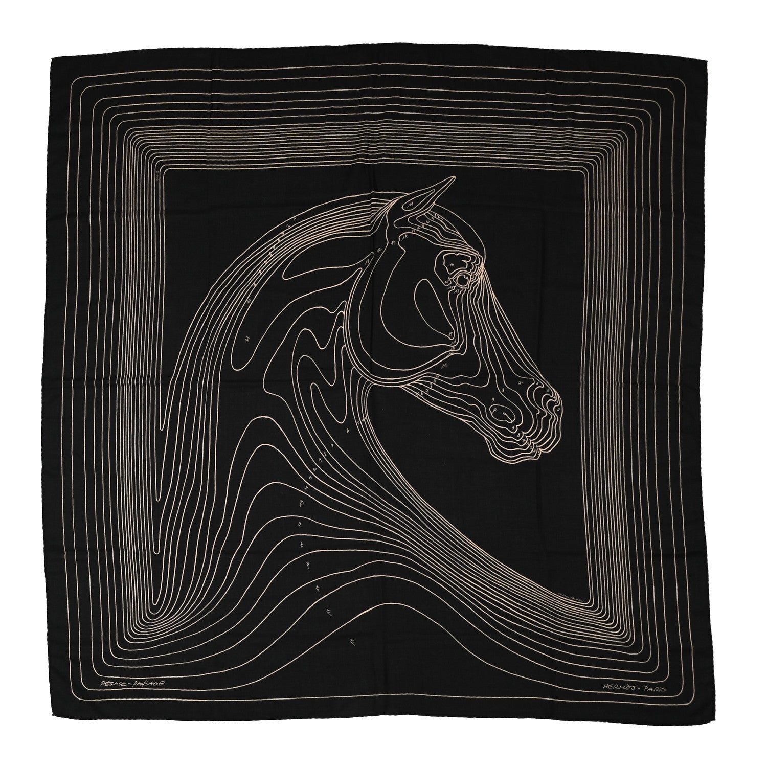 Hermes Cashmere Silk Pegase Paysage Shawl 140 Black Beige 1 of 6