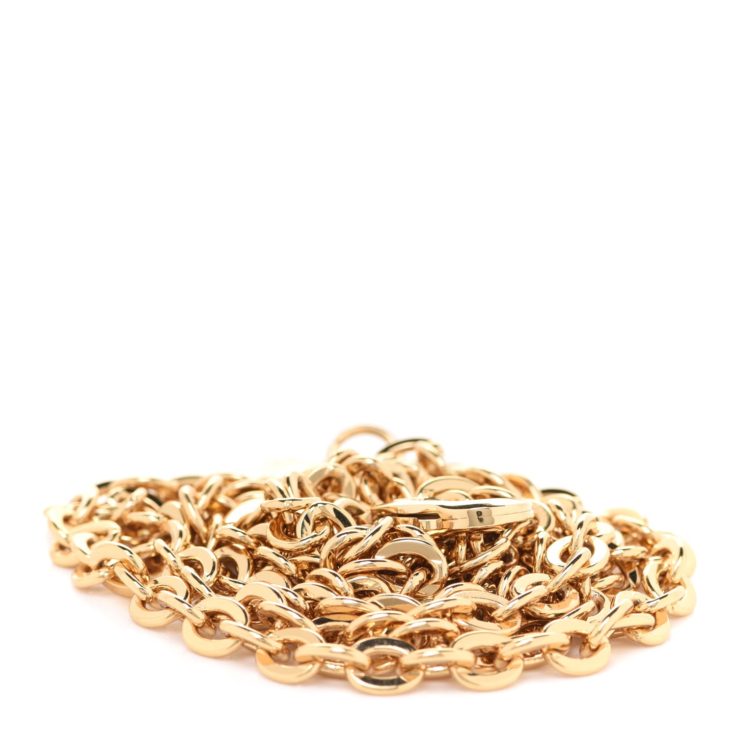Felicie Chain Long Shoulder Strap