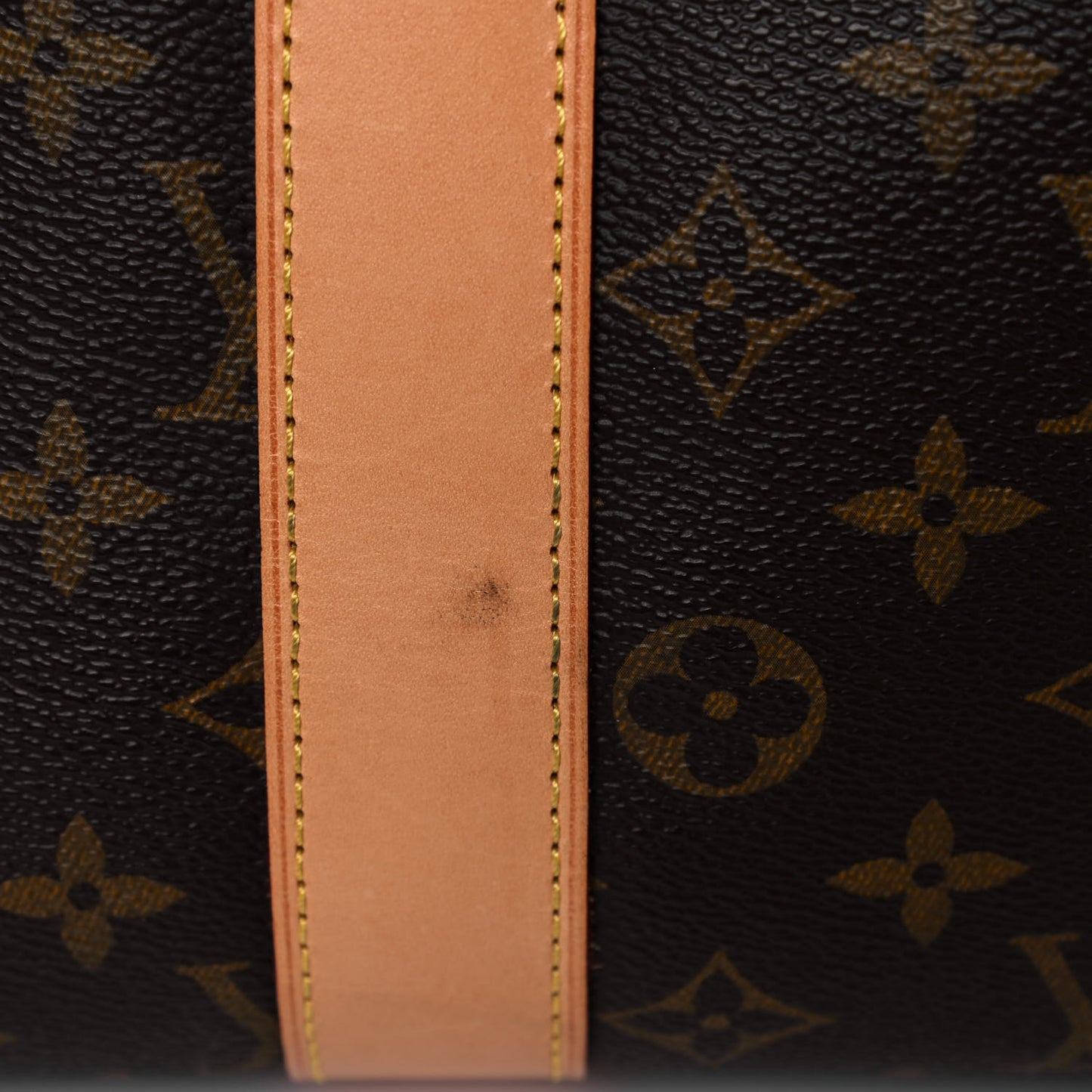 Monogram Carryall