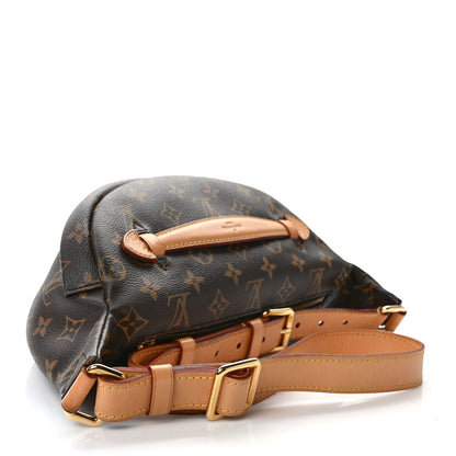 Louis Vuitton Monogram Bumbag 3 of 12