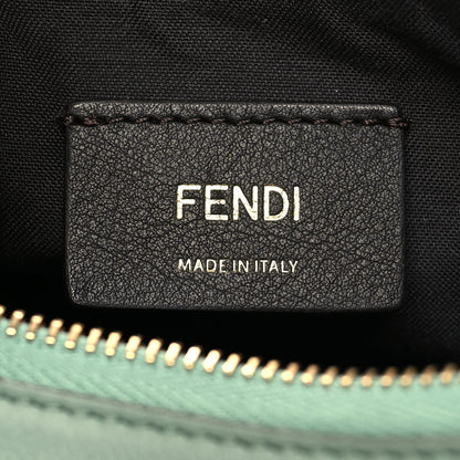 Fendi Vitello Grace Matte Small Fendigraphy Hobo Bag Menta 6 of 10