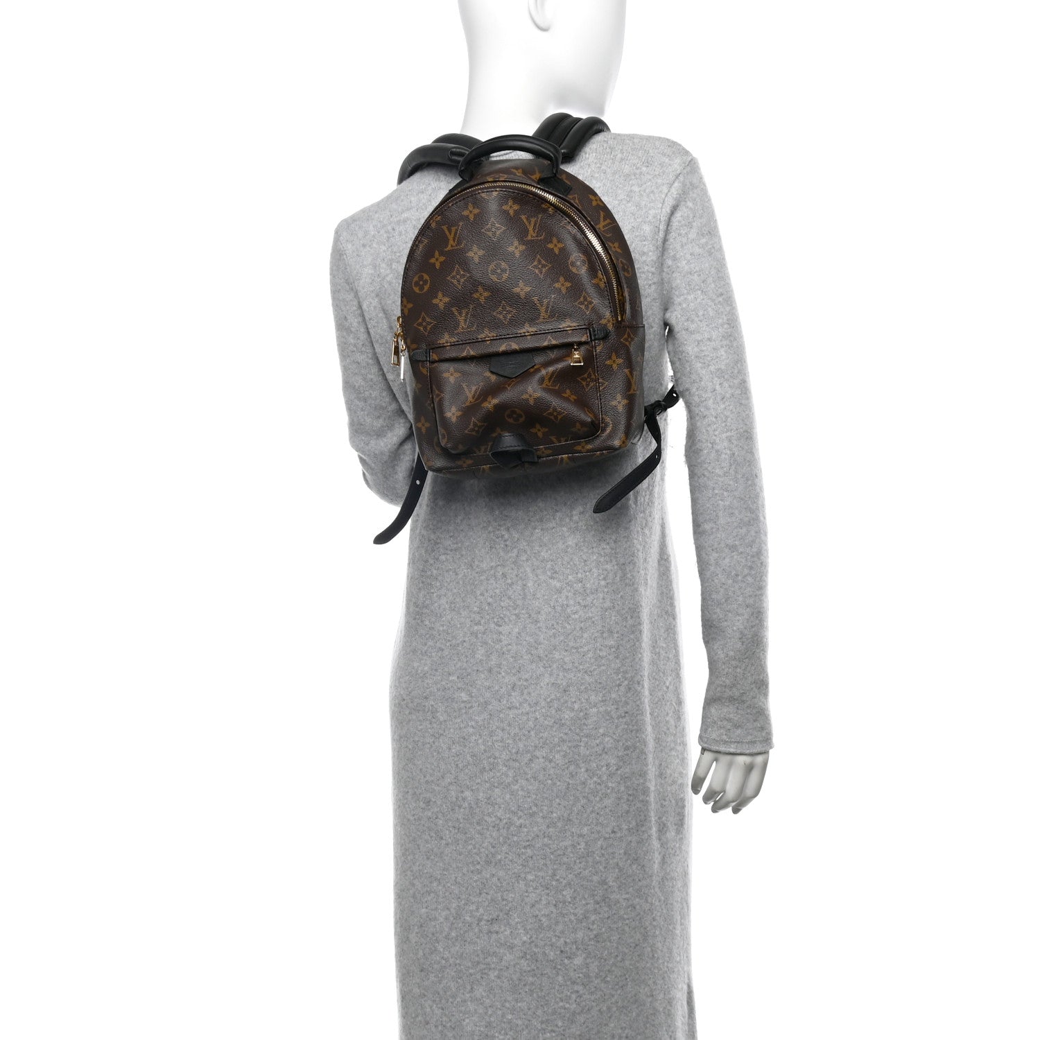 Louis Vuitton Monogram Palm Springs Backpack PM 2 of 9