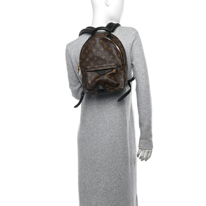 Louis Vuitton Monogram Palm Springs Backpack PM 2 of 9
