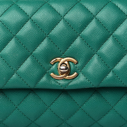 Chanel Caviar Lizard Quilted Mini Coco Handle Flap Green 8 of 11