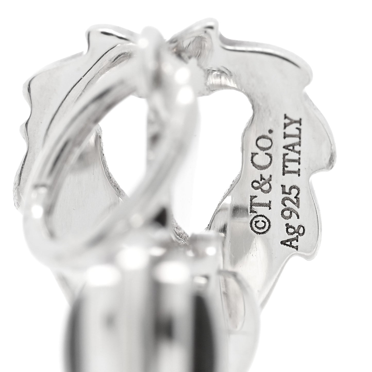 Sterling Silver Save the Wild Lion Charm