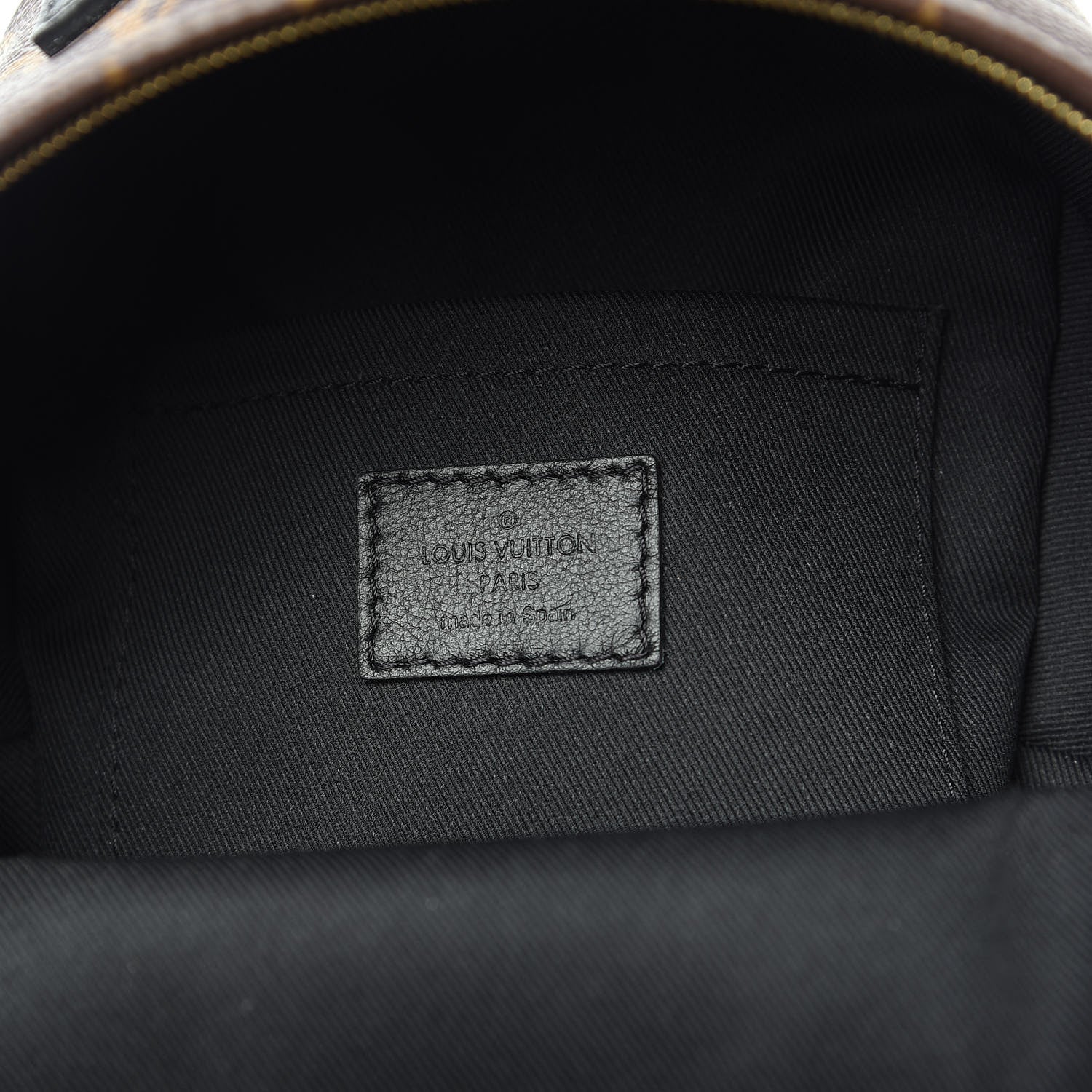 Louis Vuitton Monogram Palm Springs Backpack Mini 5 of 7