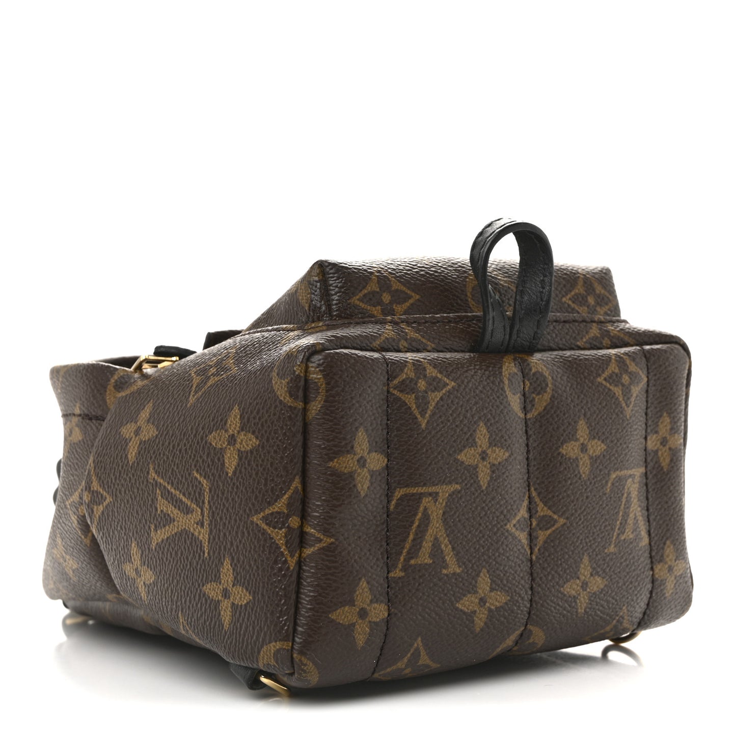 Monogram Palm Springs Backpack Mini