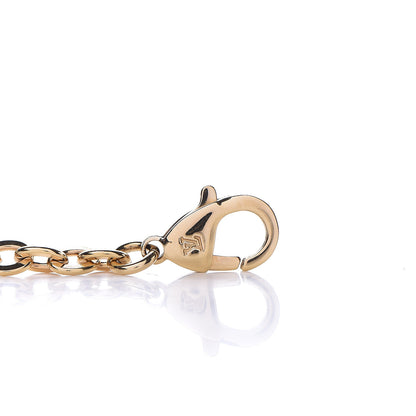 Louis Vuitton Felicie Chain Long Shoulder Strap 3 of 3