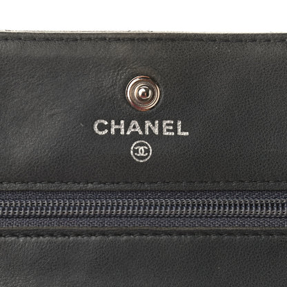 Chanel Iridescent Lambskin Quilted Wallet On Chain WOC Grey 6 of 12