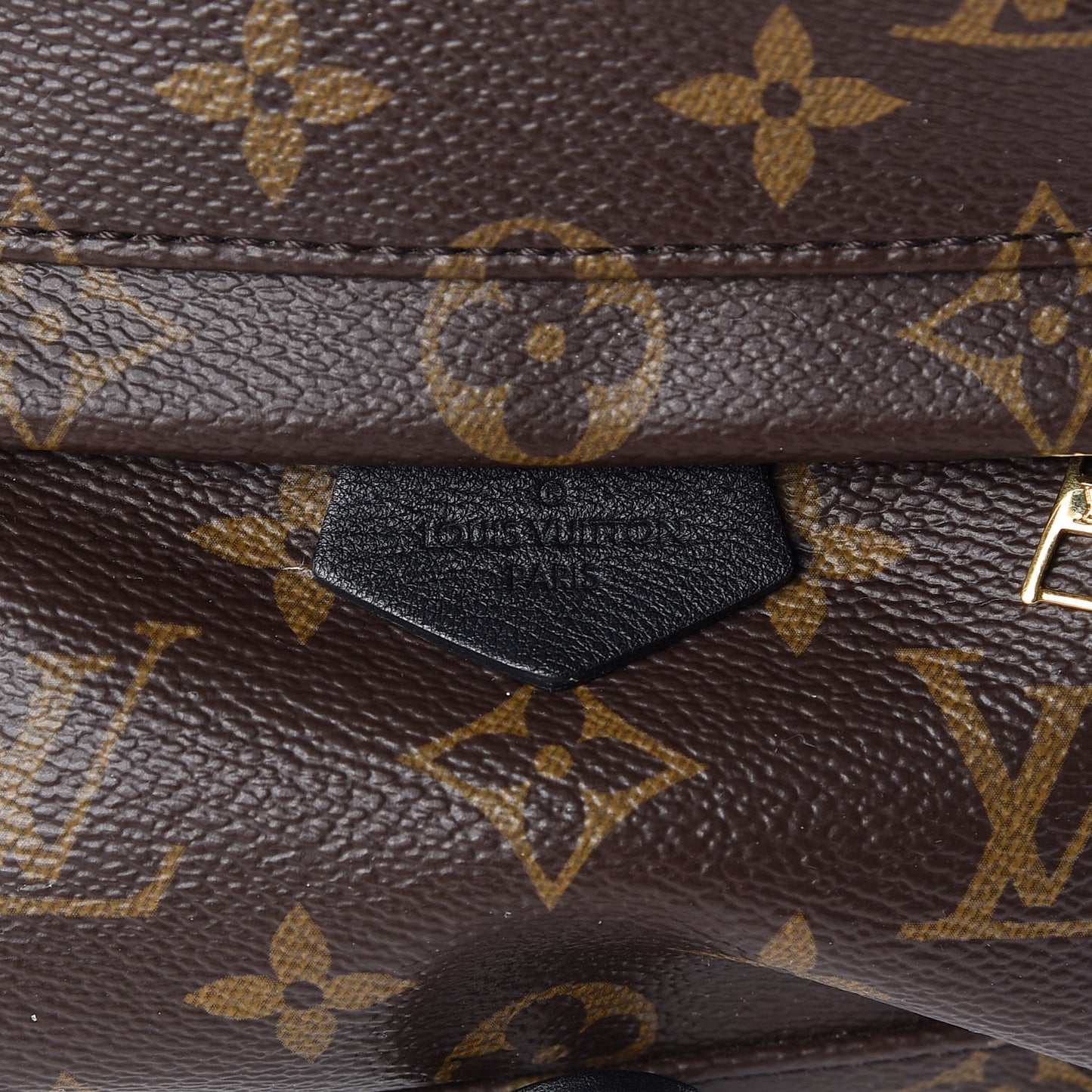 Monogram Palm Springs Backpack Mini