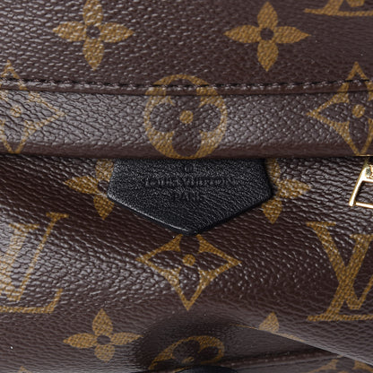 Louis Vuitton Monogram Palm Springs Backpack Mini 6 of 10